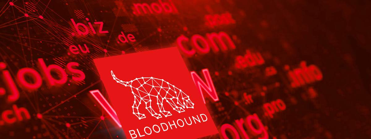 Blog about bloodhound