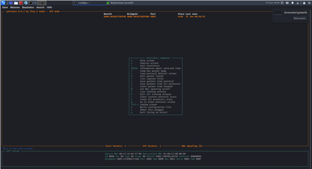 Spanning Tree Attacks