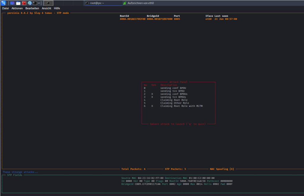 Spanning Tree Attacks