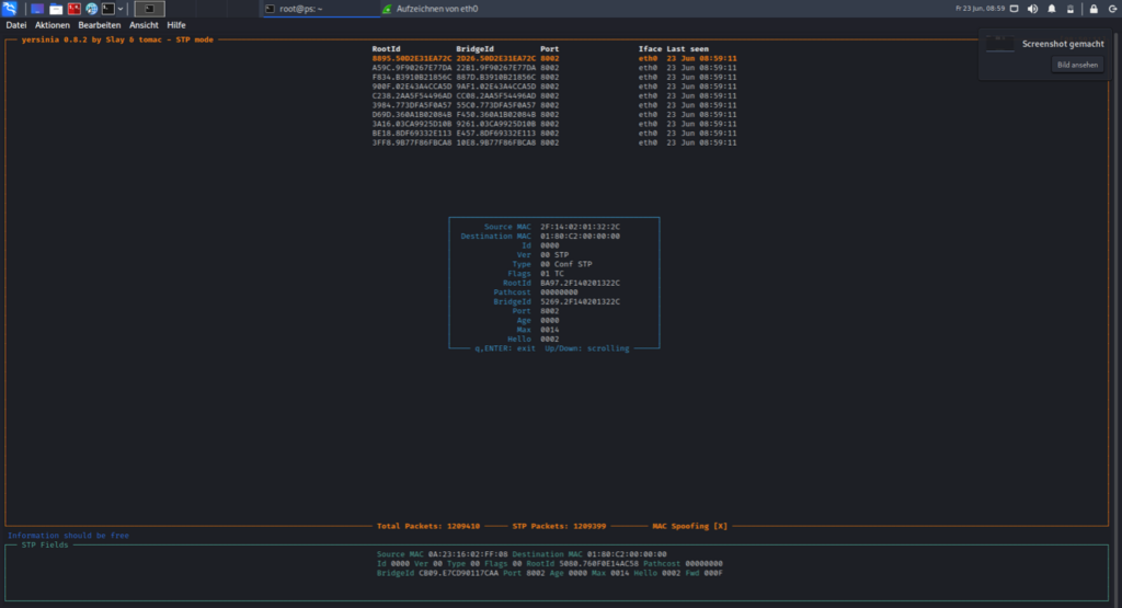 Spanning Tree Attacks