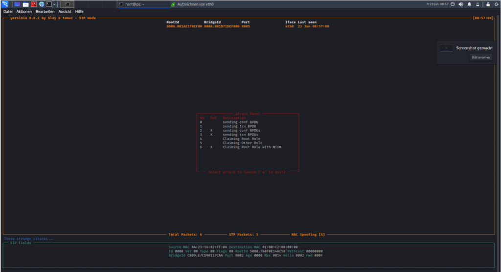 Spanning Tree Attacks