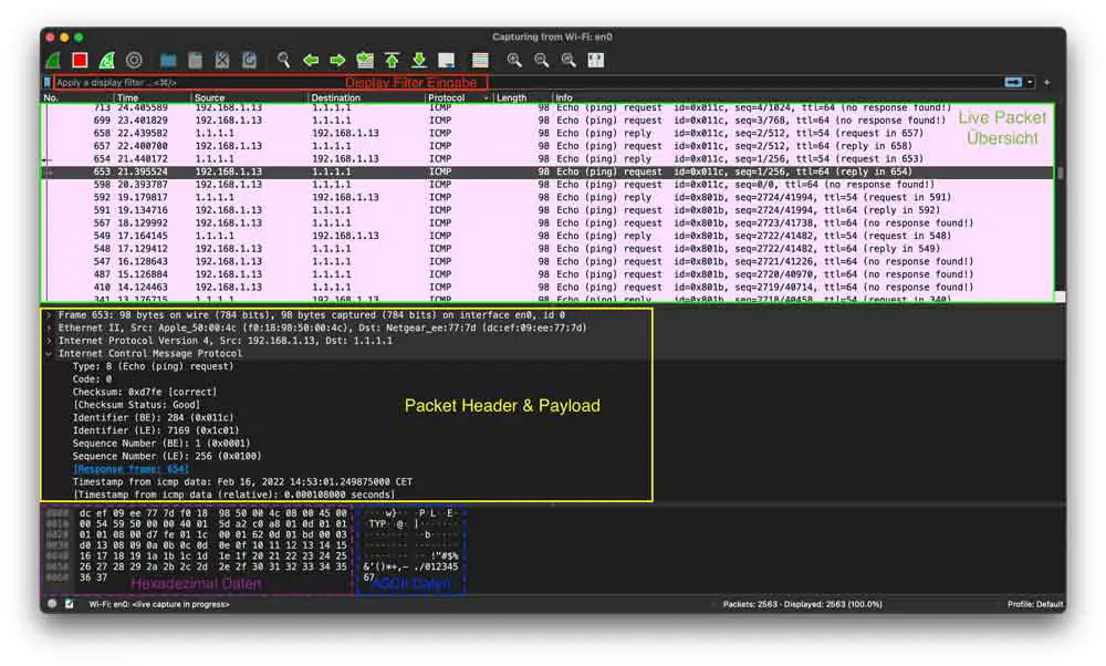 Wireshark's user interface